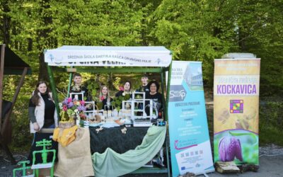 DAN PROFESIONALNOG USMJERAVANJA