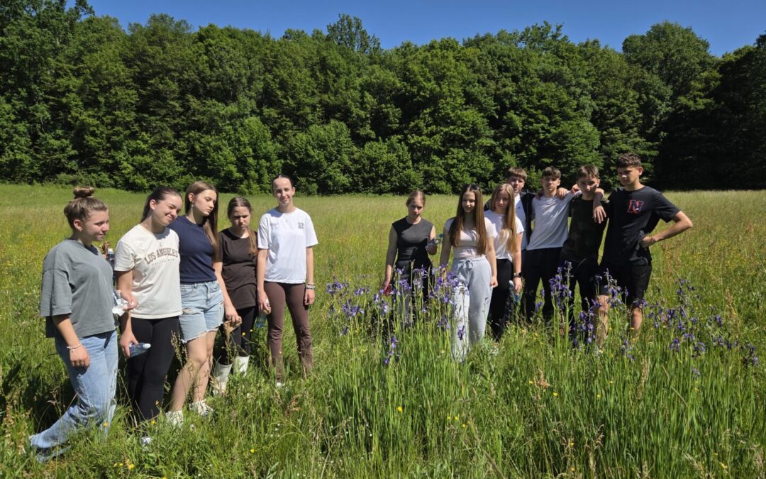 PROJEKT “ZELENI MOST ZNANJA – KNJIŽNICE KOJE POVEZUJU GENERACIJE”